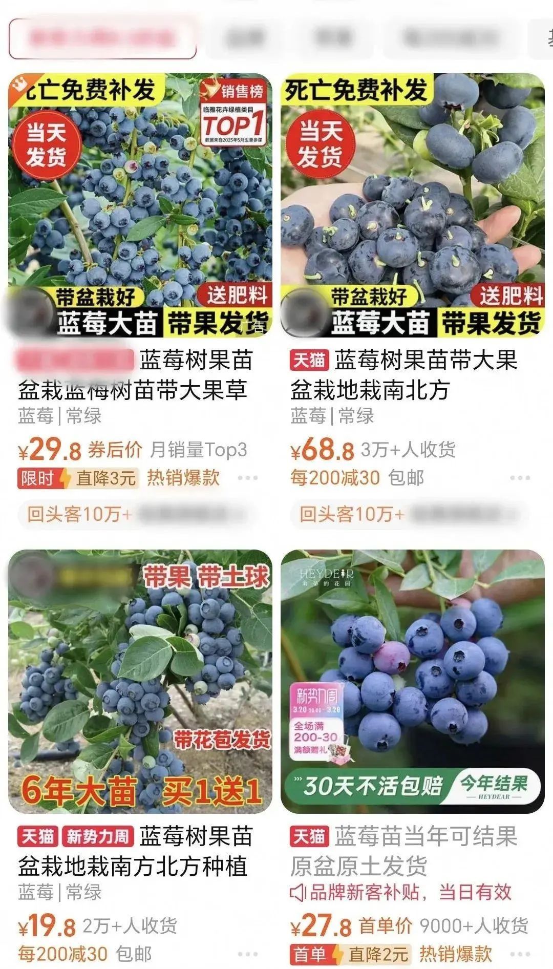 “网红水果”大降价!业内人士:还能降 “网红水果”大降价!业内人士:还能降