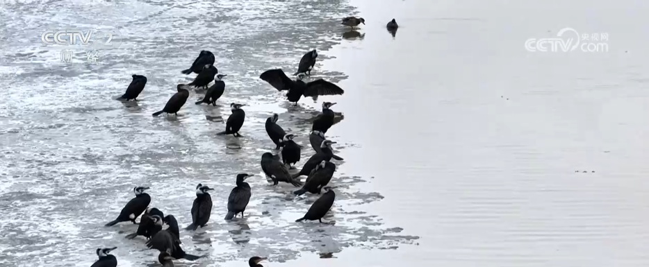 “文体商旅展”活动火热“上新” 多彩“春日经济”焕发消费新活力 “文体商旅展”活动火热“上新” 多彩“春日经济”焕发消费新活力