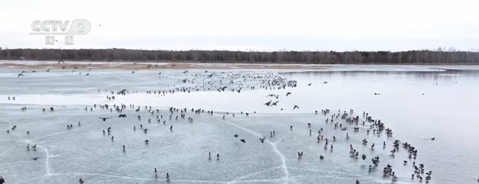 “文体商旅展”活动火热“上新” 多彩“春日经济”焕发消费新活力 “文体商旅展”活动火热“上新” 多彩“春日经济”焕发消费新活力