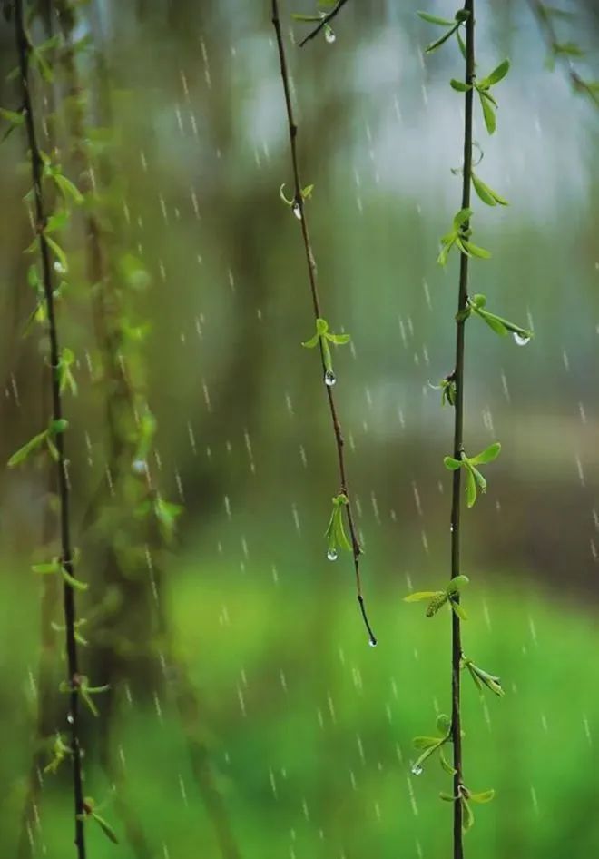 确认了!今天起,杭州持续一周甚至更久...... 确认了!今天起,杭州持续一周甚至更久......