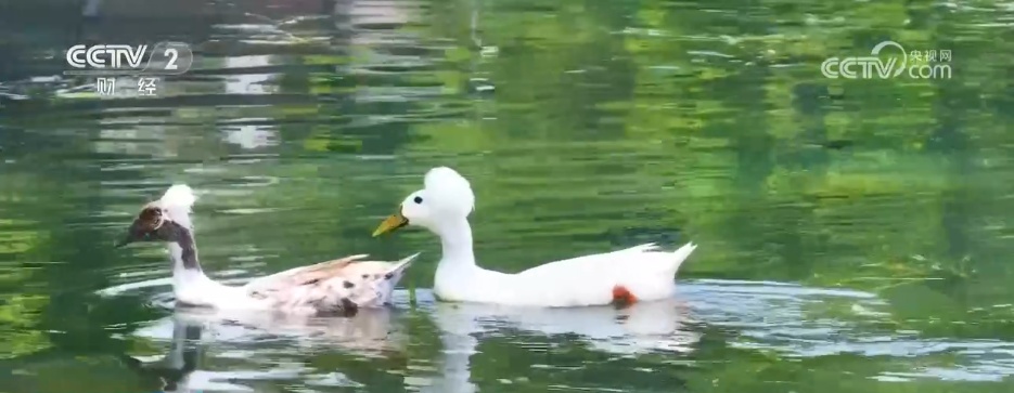 “文体商旅展”活动火热“上新” 多彩“春日经济”焕发消费新活力 “文体商旅展”活动火热“上新” 多彩“春日经济”焕发消费新活力