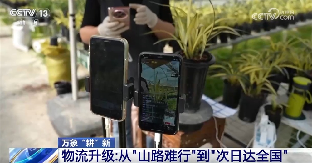 万象“耕”新尽显“科技范儿” 小兰花让“美丽经济”绘就乡村振兴新画卷