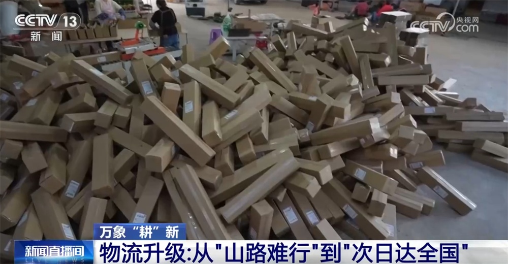 万象“耕”新尽显“科技范儿” 小兰花让“美丽经济”绘就乡村振兴新画卷