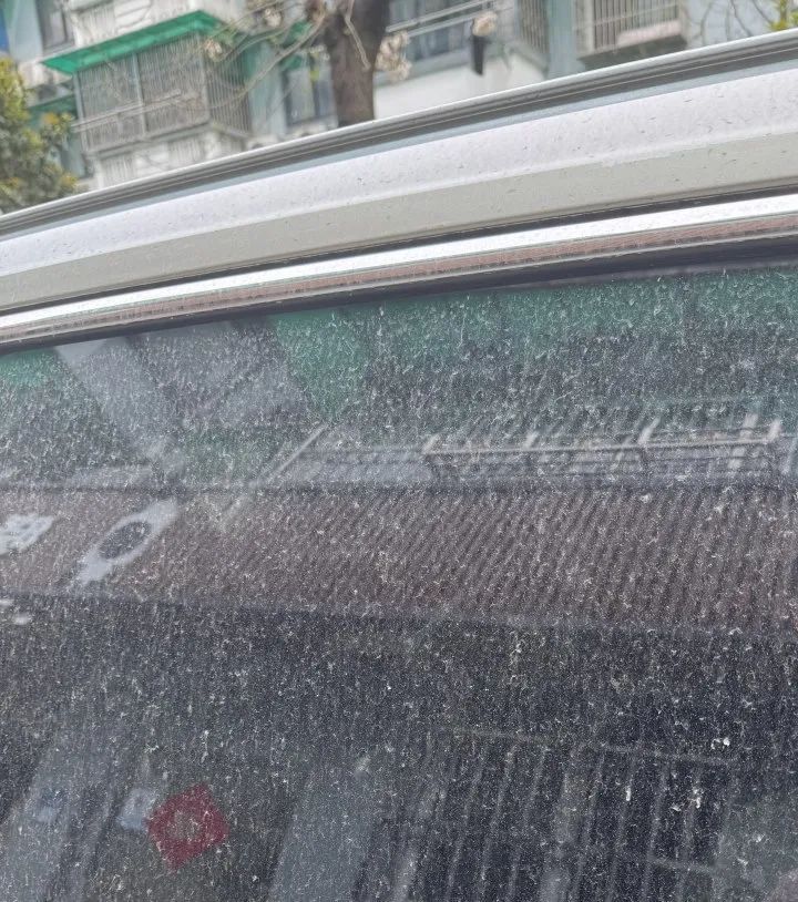 下泥巴了？脏成这样！这两天很多浙江人吐槽！好消息来了