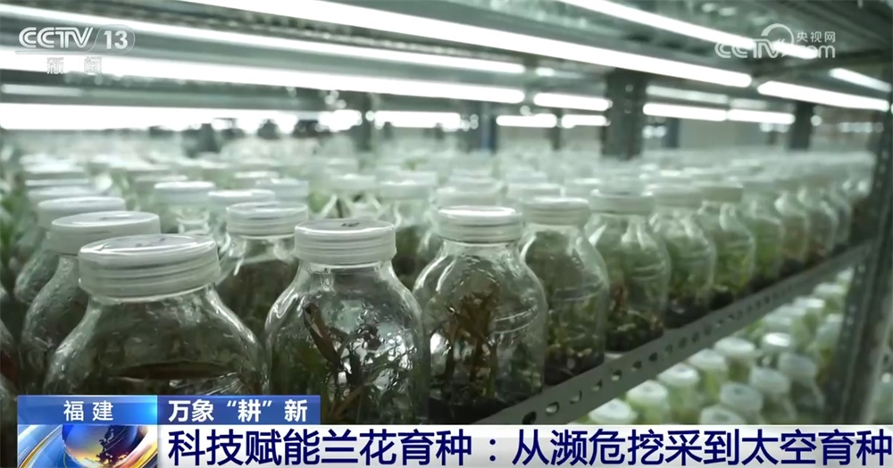 万象“耕”新尽显“科技范儿” 小兰花让“美丽经济”绘就乡村振兴新画卷