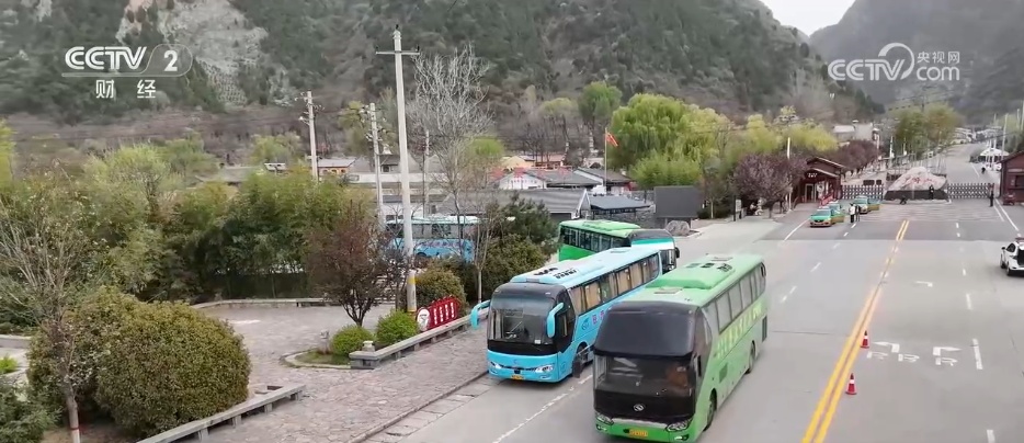 注意！清明假期出行请先看下这份交通安全提示→