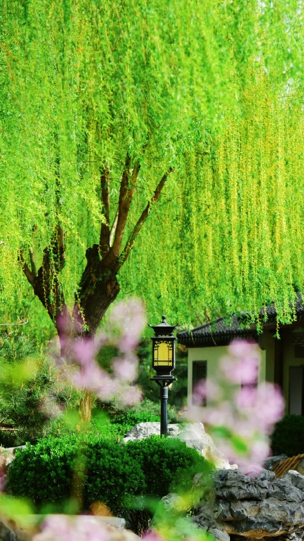 春天的你，喜欢打卡公园吗？