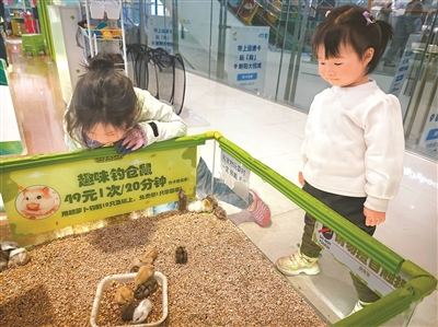 饲养“异宠”正流行 背后风险有哪些? 饲养“异宠”正流行 背后风险有哪些?