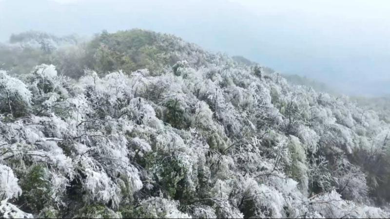 江西新余：冷空气突袭造就雾凇景观 晶莹剔透宛若仙境