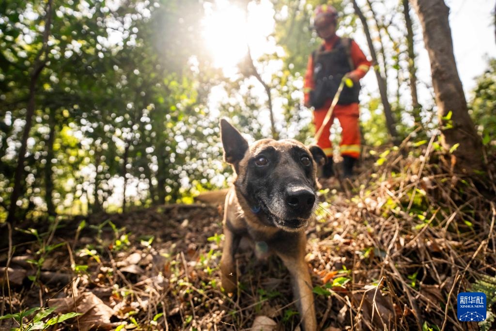 长沙消防开展地质灾害救援演练 长沙消防开展地质灾害救援演练