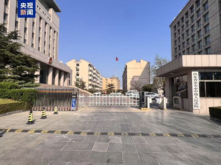 山东泰安：“入室抢婴贩卖案”将于明天开庭审理