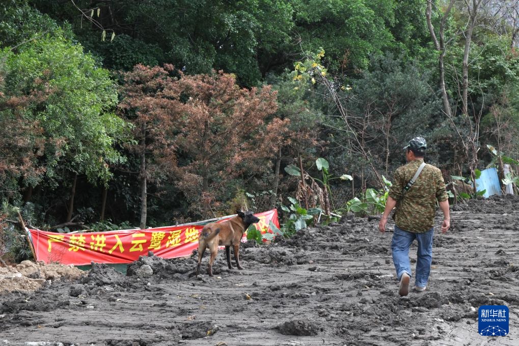 顺德“鸟叔”廿七载守护“鹭鸟天堂” 顺德“鸟叔”廿七载守护“鹭鸟天堂”