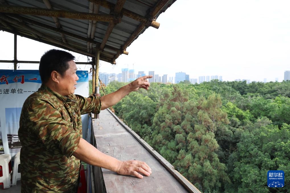 顺德“鸟叔”廿七载守护“鹭鸟天堂” 顺德“鸟叔”廿七载守护“鹭鸟天堂”