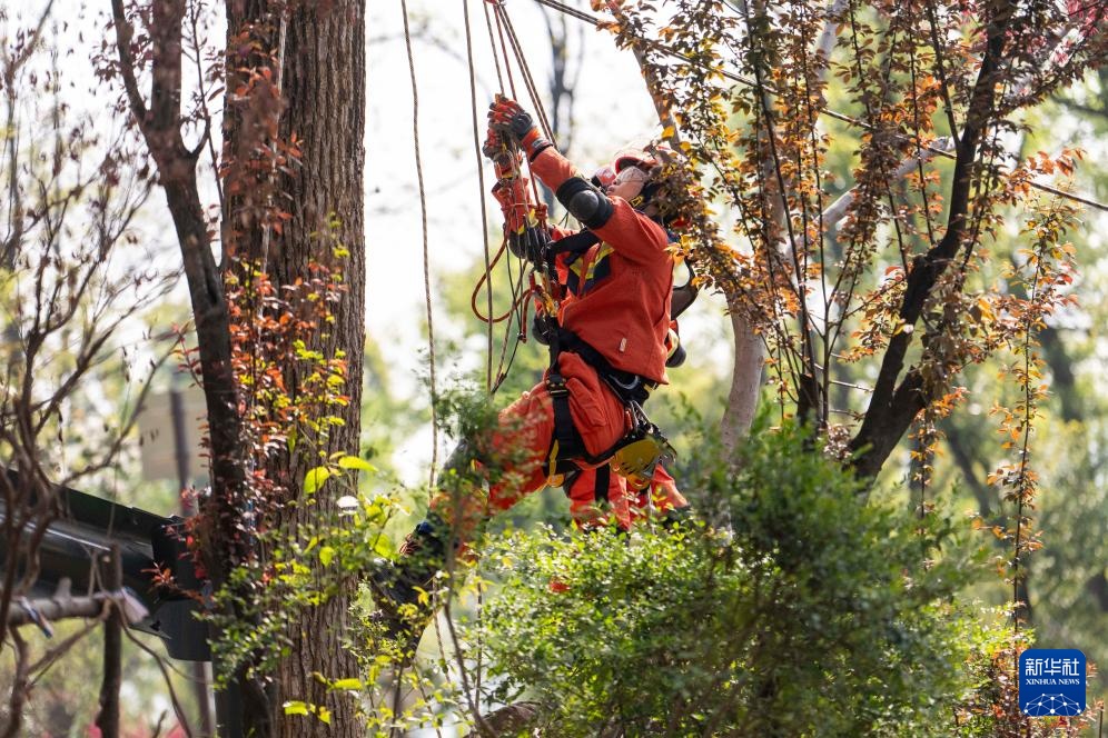 长沙消防开展地质灾害救援演练 长沙消防开展地质灾害救援演练