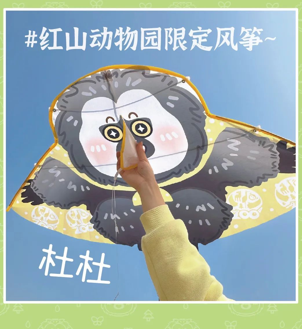 南京“爆炸头”鸭子，带一只？