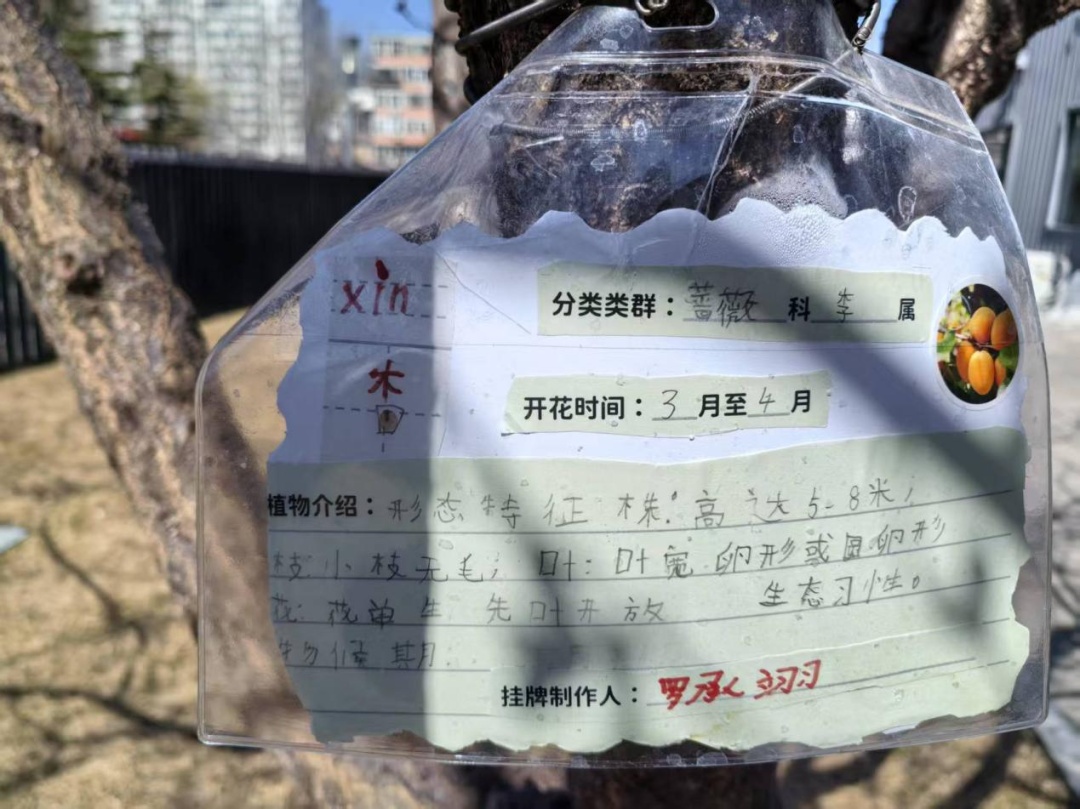 资讯动态 | 春华秋实:科学驿站外,杏承翊高飞 资讯动态 | 春华秋实:科学驿站外,杏承翊高飞