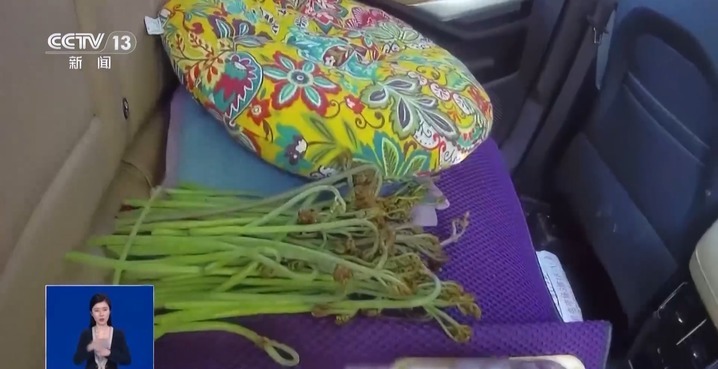 醉酒滋事、脱鞋放脚 高铁上遇不文明行为可这样维权 醉酒滋事、脱鞋放脚 高铁上遇不文明行为可这样维权