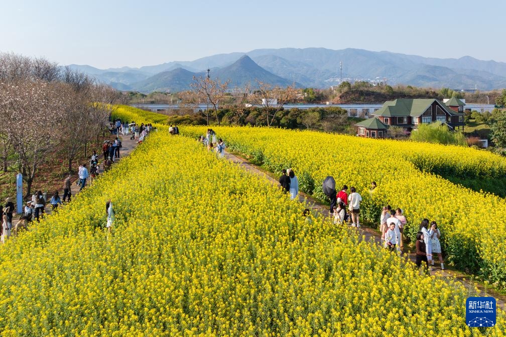 校园赏花季——姹紫嫣红竞春晖 校园赏花季——姹紫嫣红竞春晖