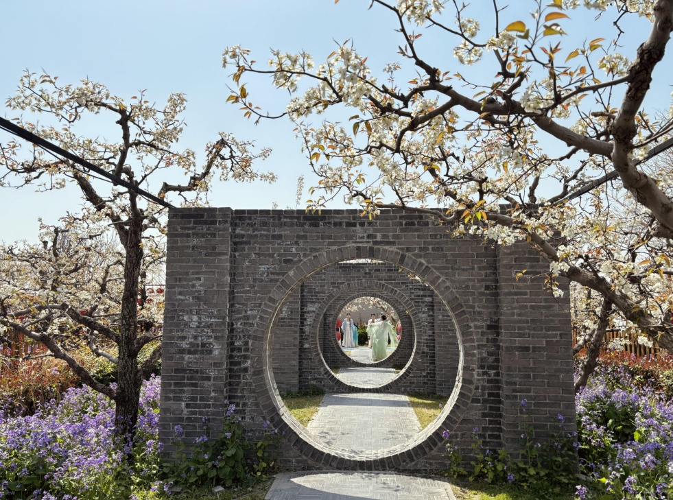 一树梨花满城春 安徽砀山万顷梨花竞相盛放 一树梨花满城春 安徽砀山万顷梨花竞相盛放