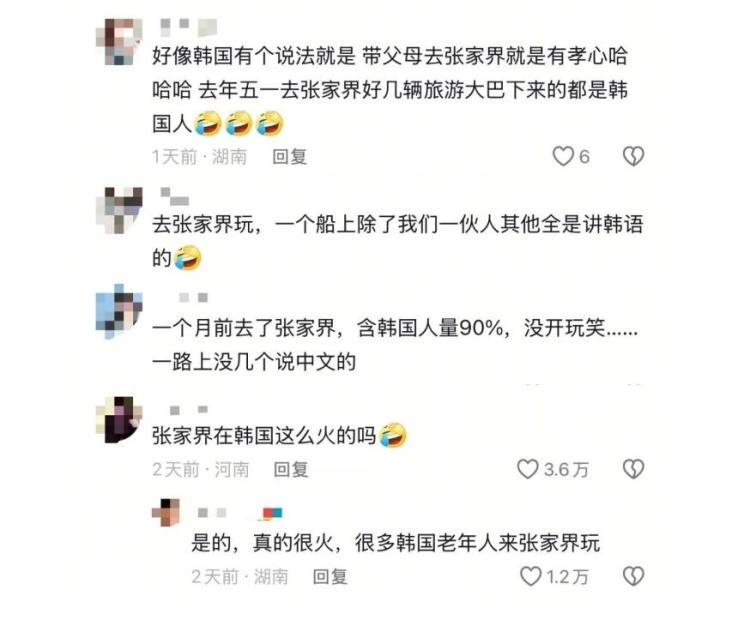“明年我们去张家界看落叶” 热播剧掀起张家界旅游热