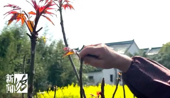 价格大跳水，很多人下手了！但这件事千万不能省，严重可致命