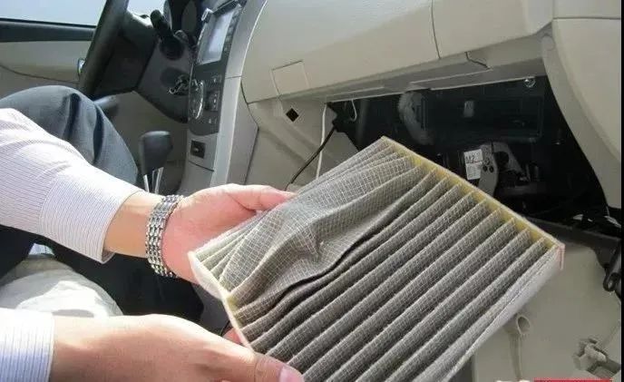 掌握这些技巧，轻松应对柳絮“侵扰”！