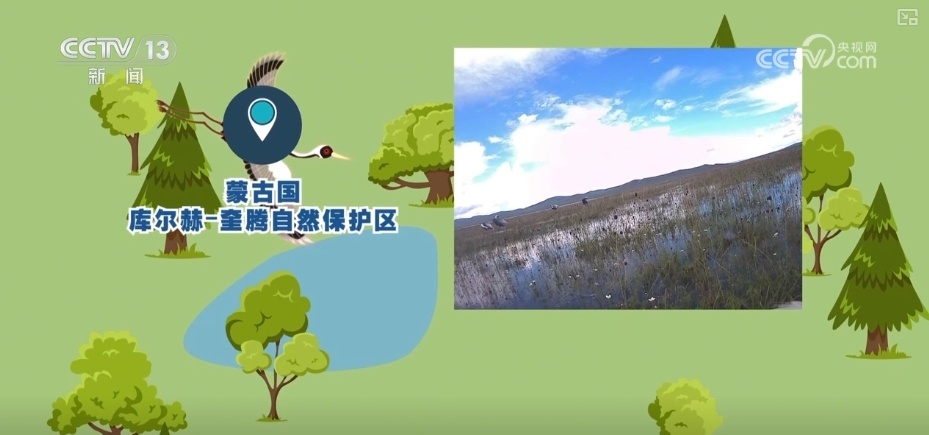 空中第一视角，绝美！跟着“摄影师”白枕鹤“蒙蒙”饱览生态之美