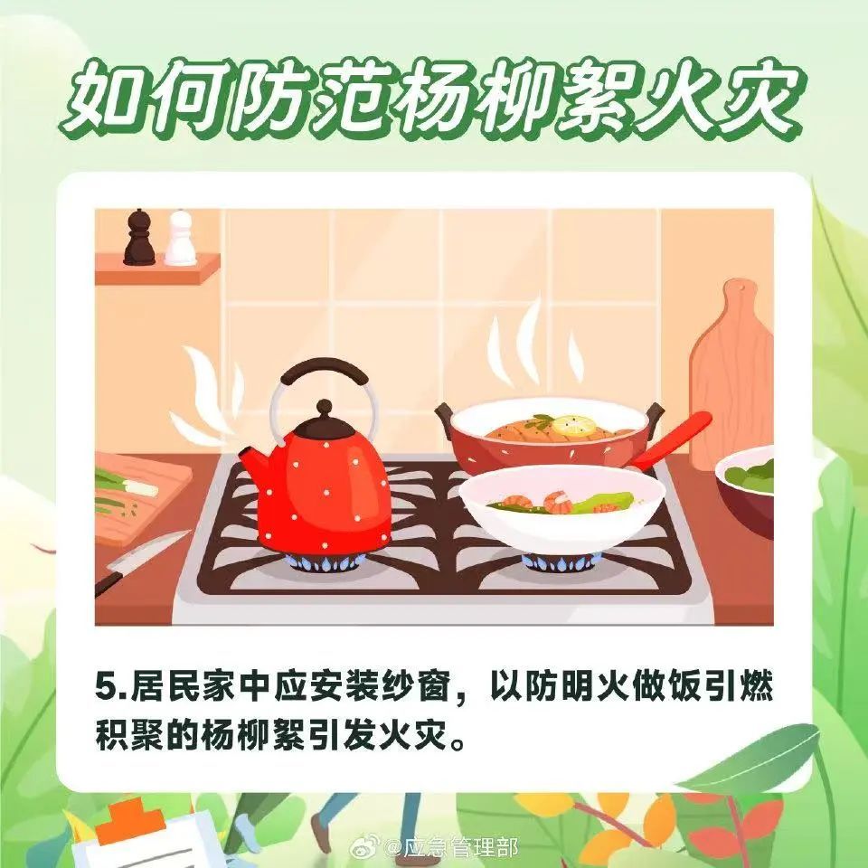 杨柳絮飘飞 请注意防范 杨柳絮飘飞 请注意防范