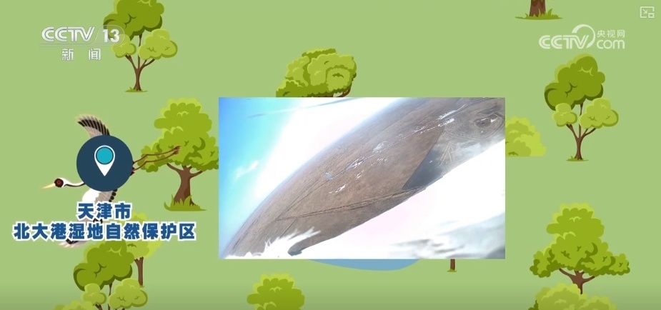 空中第一视角，绝美！跟着“摄影师”白枕鹤“蒙蒙”饱览生态之美