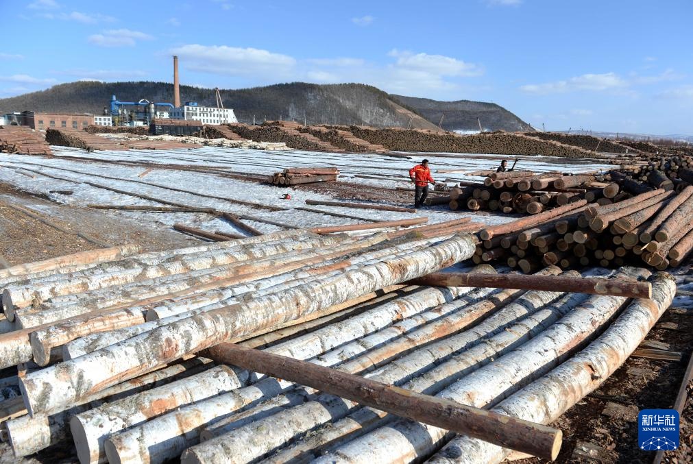 光影流年丨林海告别斧锯声 光影流年丨林海告别斧锯声