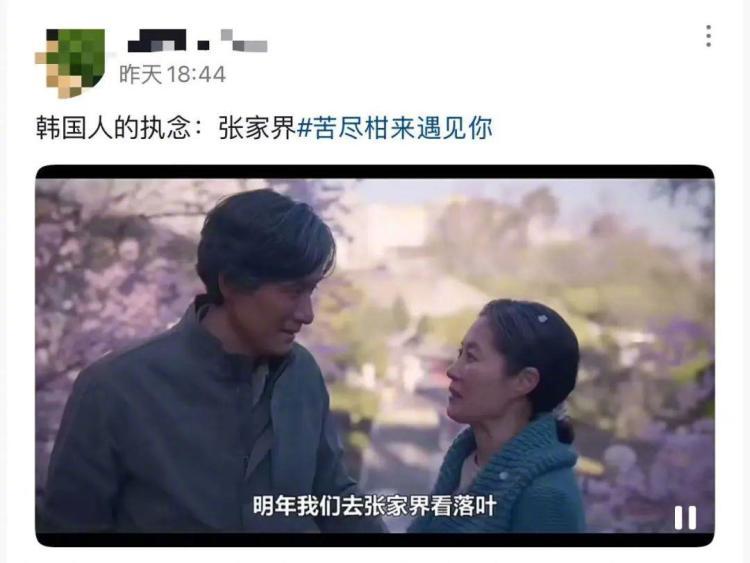 “明年我们去张家界看落叶” 热播剧掀起张家界旅游热