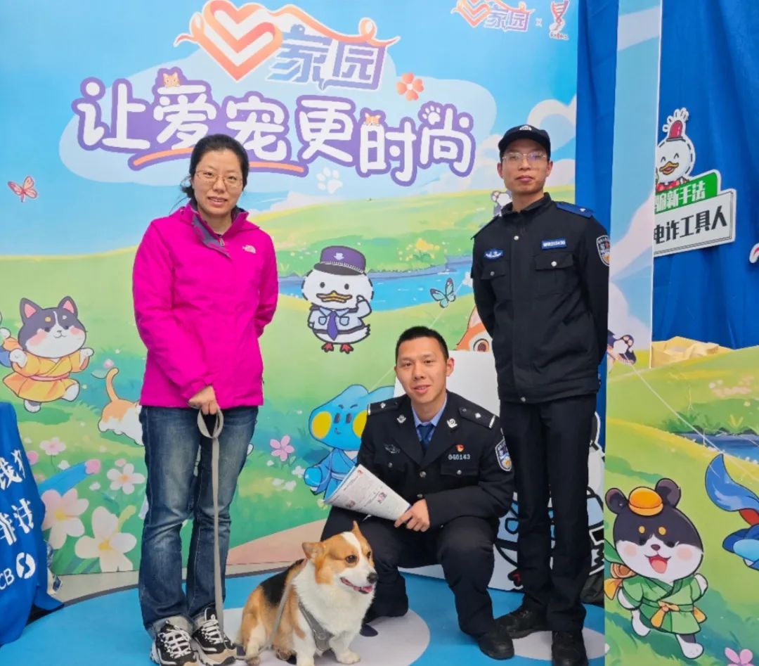 太好了是汪汪队！易被骗群体有救啦！