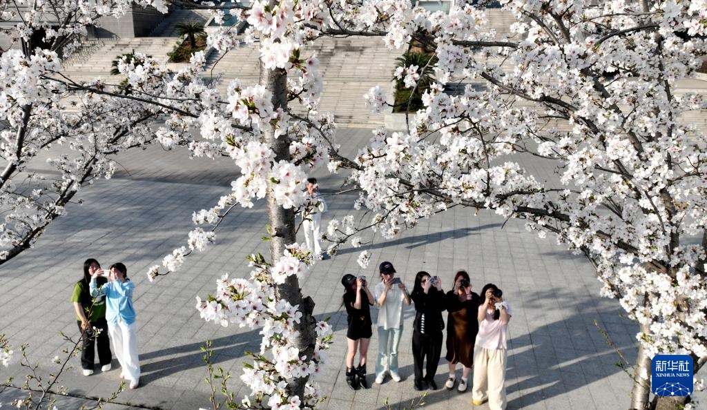 校园赏花季——姹紫嫣红竞春晖 校园赏花季——姹紫嫣红竞春晖