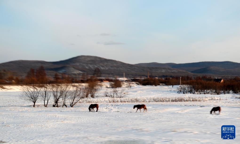 光影流年丨林海告别斧锯声 光影流年丨林海告别斧锯声