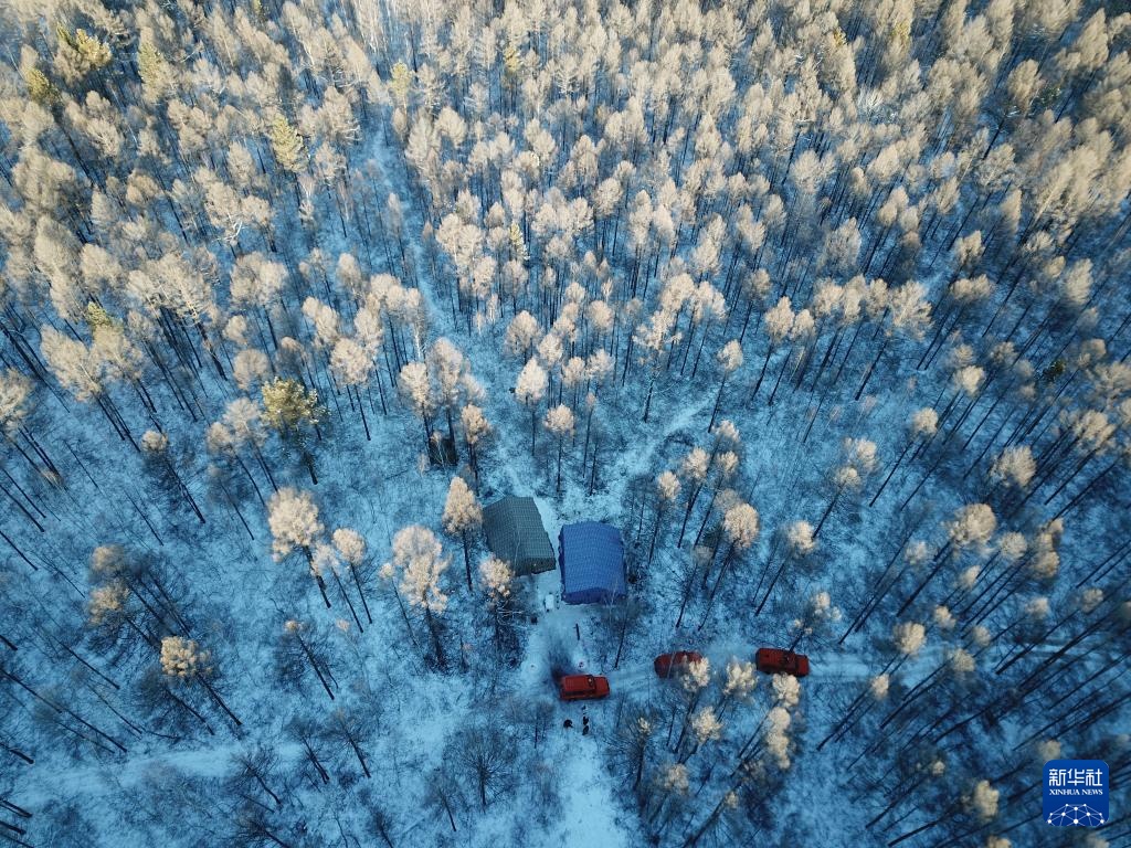 光影流年丨林海告别斧锯声 光影流年丨林海告别斧锯声