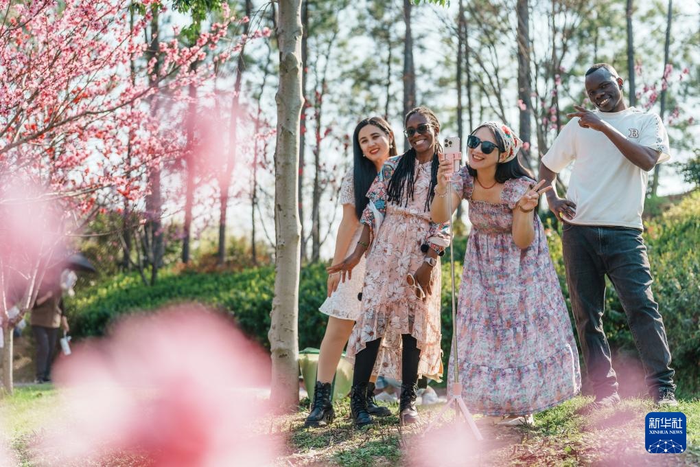 校园赏花季——姹紫嫣红竞春晖 校园赏花季——姹紫嫣红竞春晖