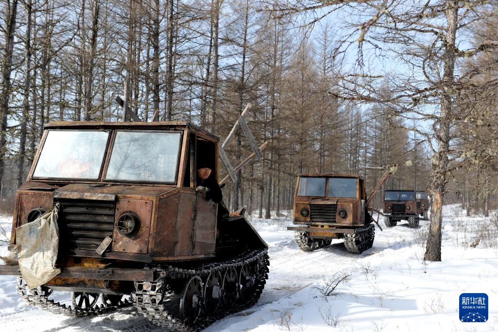 光影流年丨林海告别斧锯声 光影流年丨林海告别斧锯声