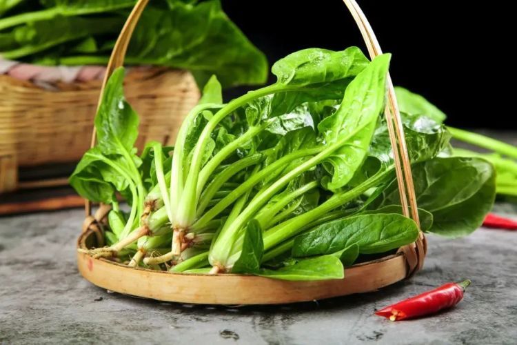 春天吃它，赛人参！春季独有美味，错过再等一年