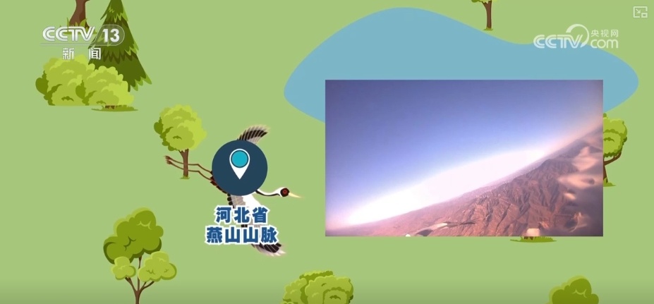 空中第一视角，绝美！跟着“摄影师”白枕鹤“蒙蒙”饱览生态之美