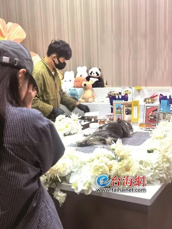 突然!暴涨200%!厦门很多“90后”“00后”下单…… 突然!暴涨200%!厦门很多“90后”“00后”下单……