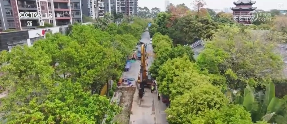 多个重大工程建设“进度条”不断刷新 为经济发展再添“硬核”实力