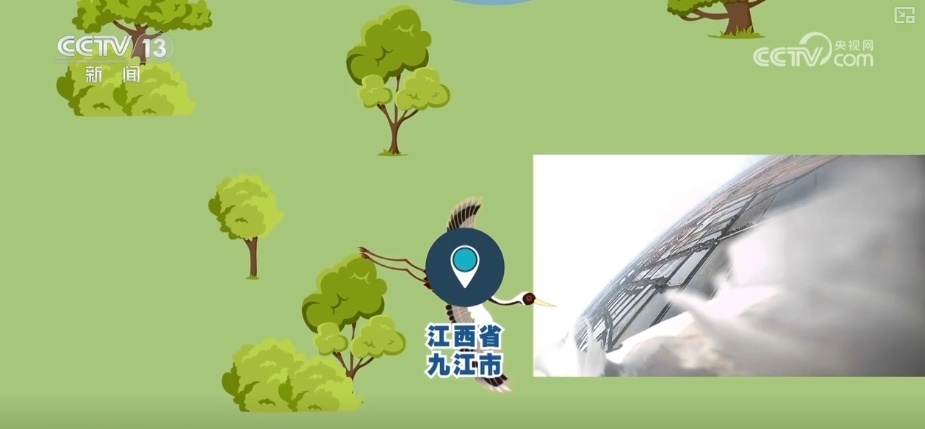 空中第一视角，绝美！跟着“摄影师”白枕鹤“蒙蒙”饱览生态之美