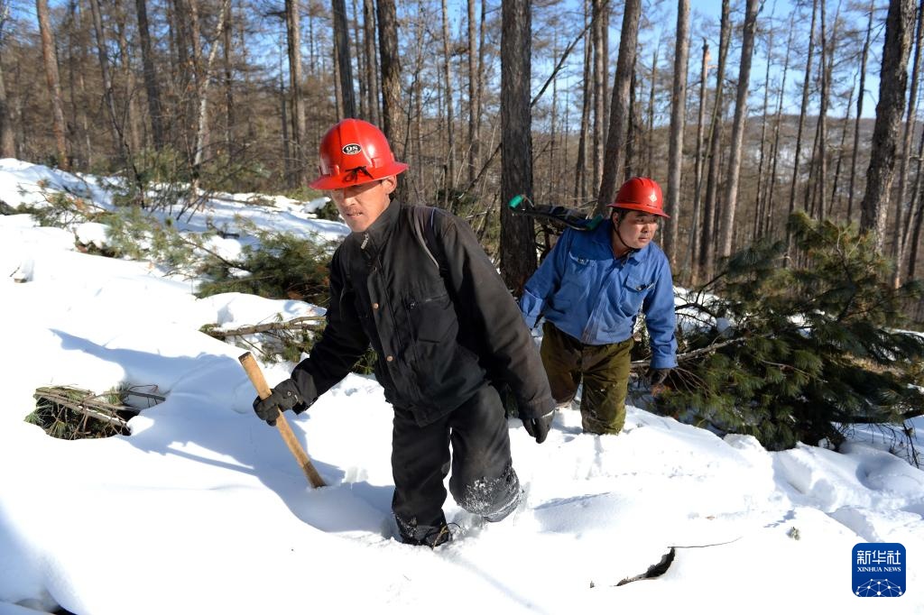 光影流年丨林海告别斧锯声 光影流年丨林海告别斧锯声