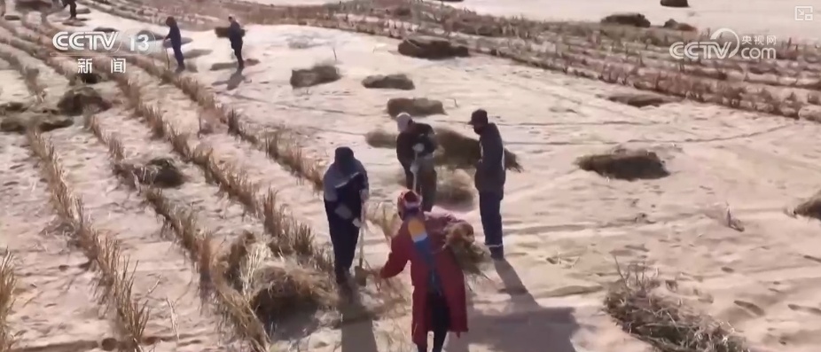 多个重大工程建设“进度条”不断刷新 为经济发展再添“硬核”实力