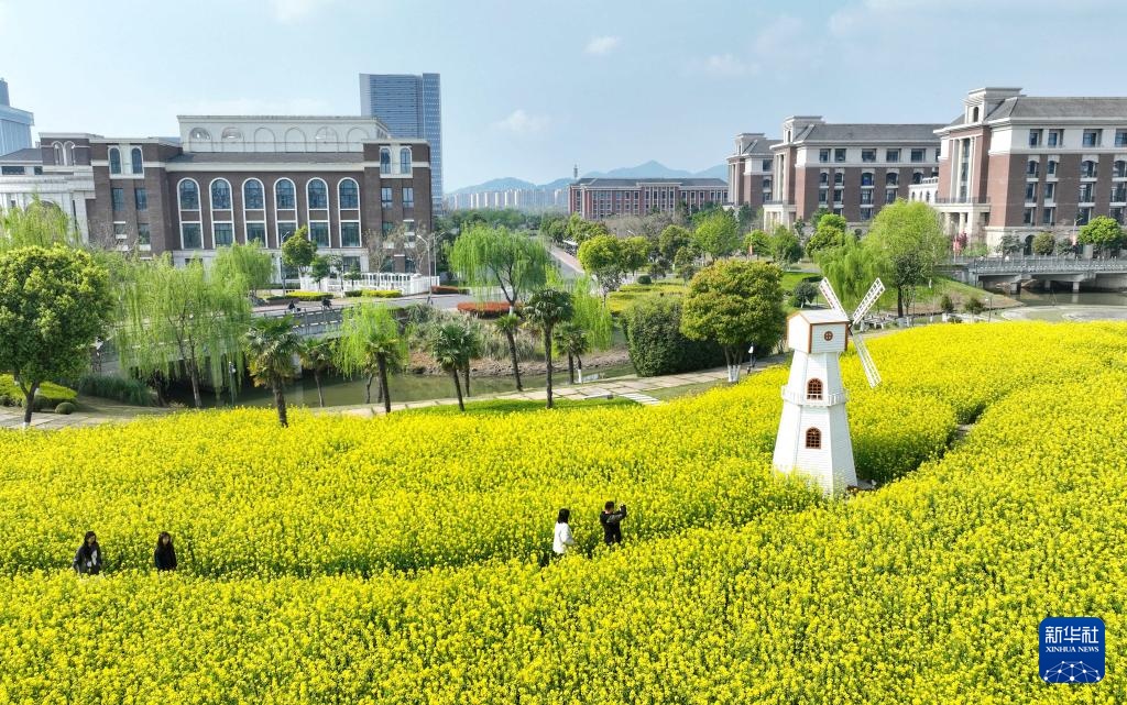 校园赏花季——姹紫嫣红竞春晖 校园赏花季——姹紫嫣红竞春晖