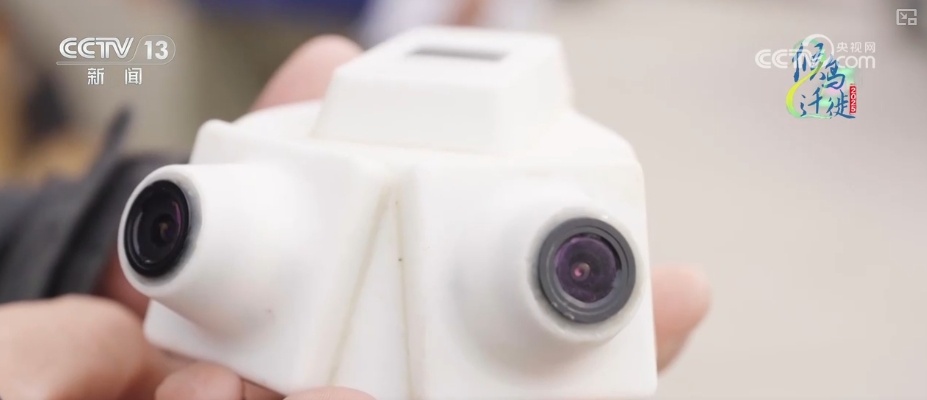 空中第一视角，绝美！跟着“摄影师”白枕鹤“蒙蒙”饱览生态之美