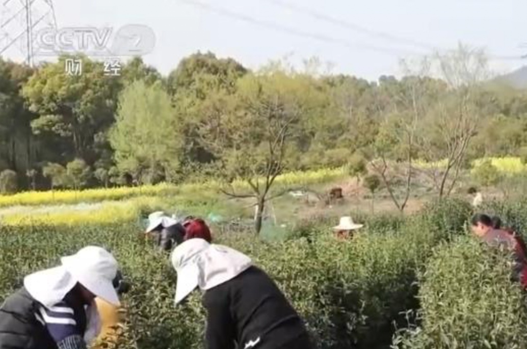 提振消费,钱从哪来?看“生财”之道→ 提振消费,钱从哪来?看“生财”之道→