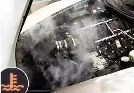 掌握这些技巧，轻松应对柳絮“侵扰”！