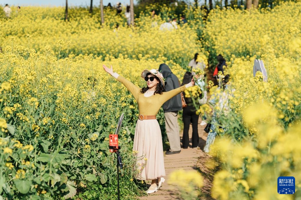 校园赏花季——姹紫嫣红竞春晖 校园赏花季——姹紫嫣红竞春晖