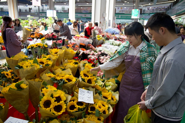 赏花经济:文旅融合下的产业升级新图景 赏花经济:文旅融合下的产业升级新图景